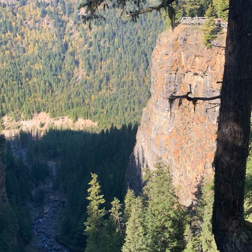 Meet your Posher, Tatum